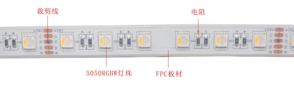 5050RGBW七彩 60燈 24V(圖1)