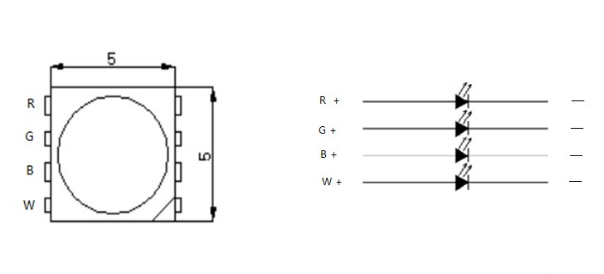 外置TM1814 5050RGBW 10段60燈 24V(圖2)